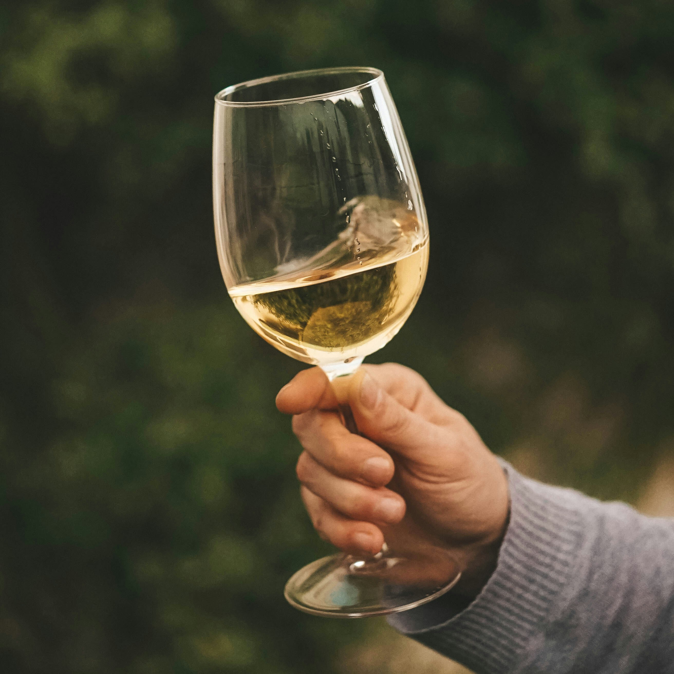 Cape House Sauvignon Blanc glass